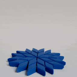 snowflake placemat & coaster 3d model