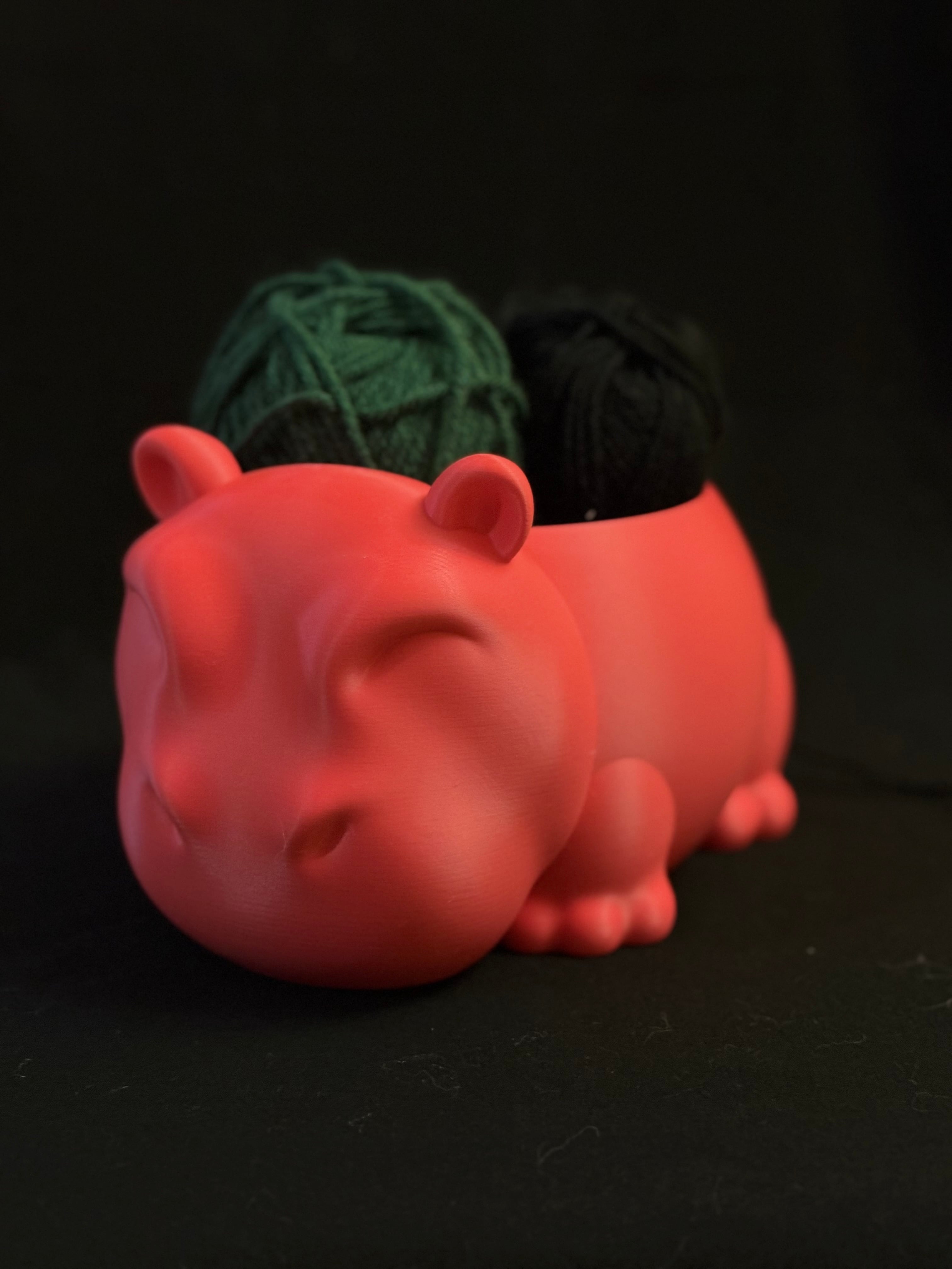 Used Polymaker Pastel Watermelon