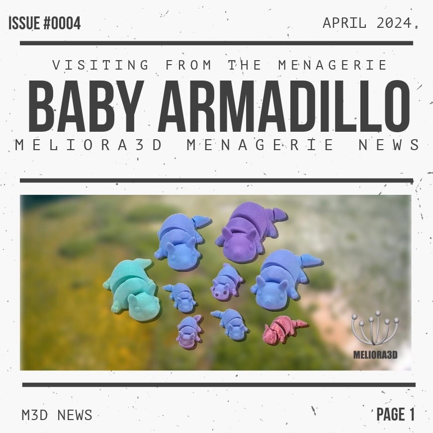 Baby Armadillo 3d model