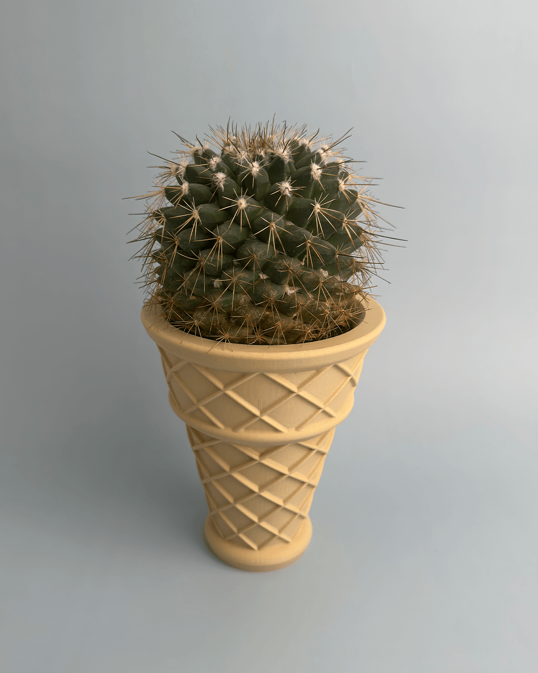 Ice Cream Cone Planter 3d model