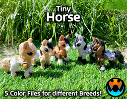 Tiny Horse 3d model