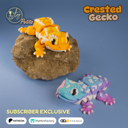 Crested Gecko 3d model