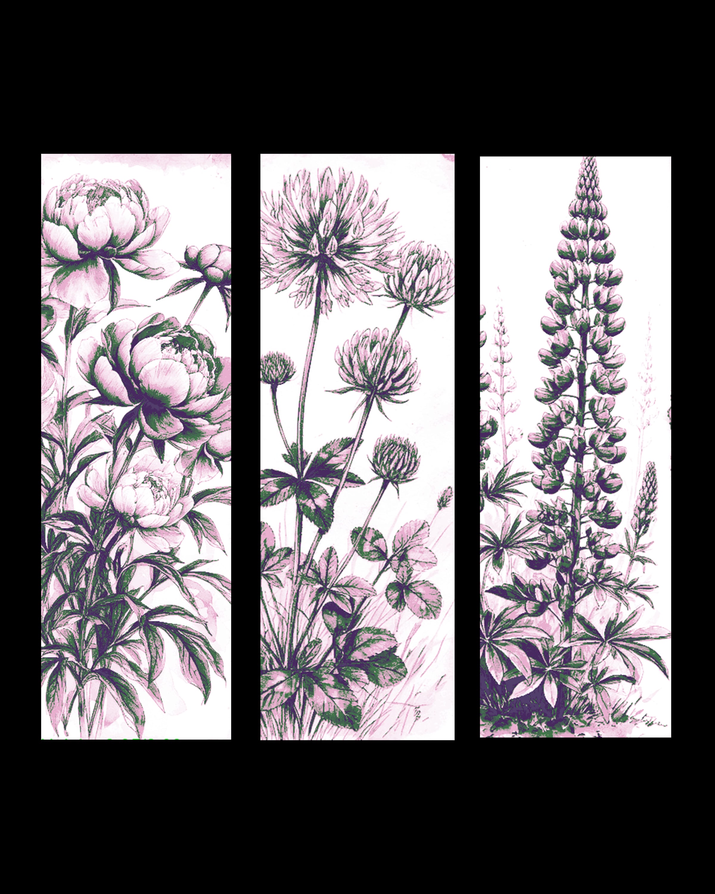 Botanical Beauty - Set of Bookmarks of Flowers 3d model