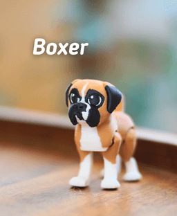 Ludo Boxer - Articulated Fidget Boxer 3d model