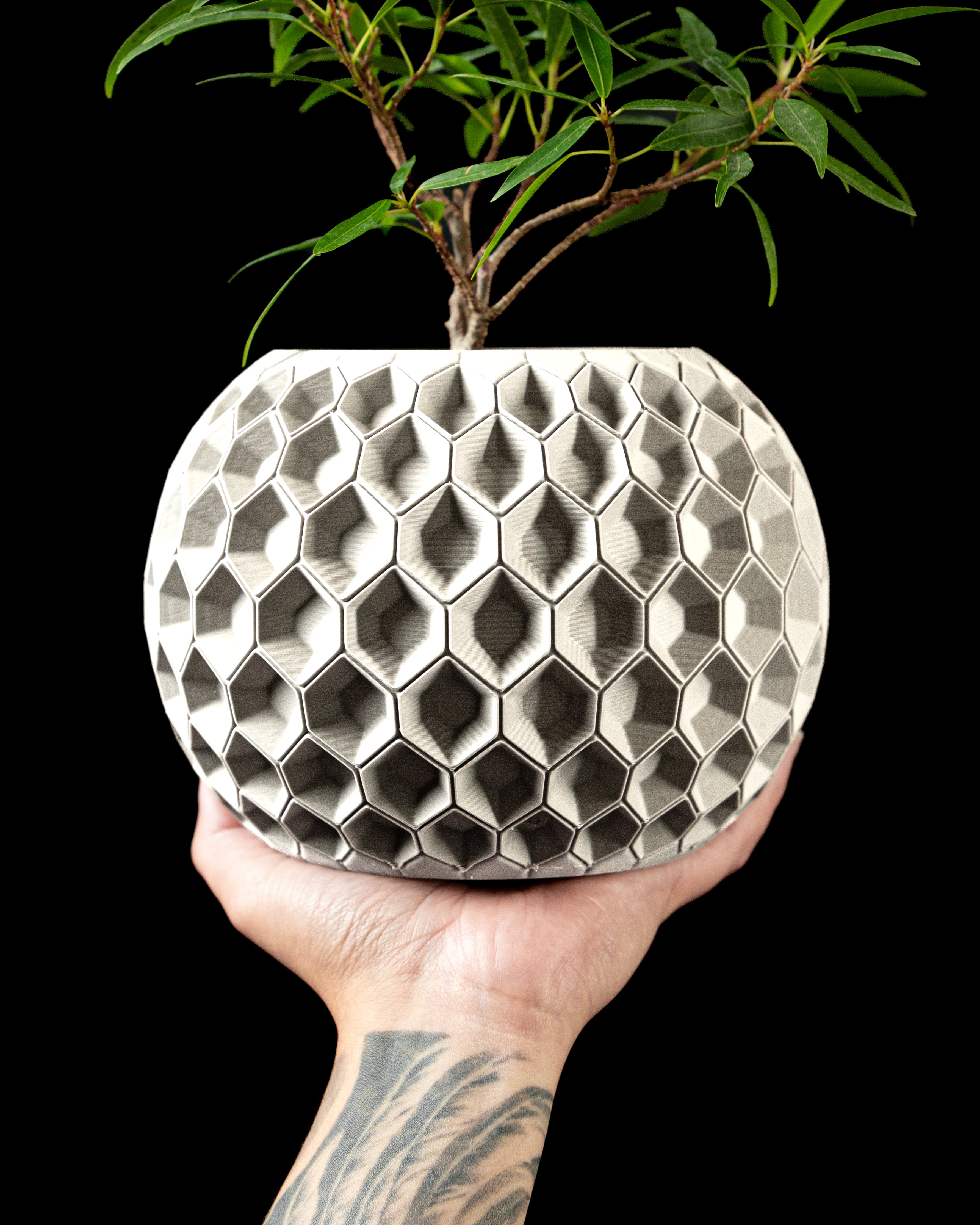 Hexa Planter Pot 02 by MODERN MACHINE 3d model