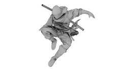 Ninja Shadow Leap 3d model