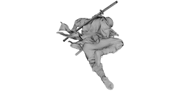 Ninja Shadow Leap 3d model