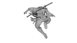 Ninja Shadow Leap 3d model
