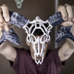 Wire Skull // Ram 3d model