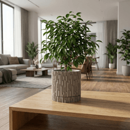 Planter with dripping tray 3d model