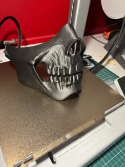 Skeletal Face Mask - Forged in Silence 3d model