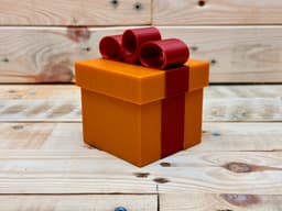 Medium Gift Box 3d model