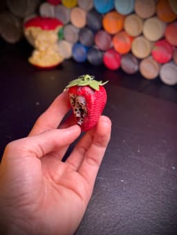 The forbidden strawberry 3d model