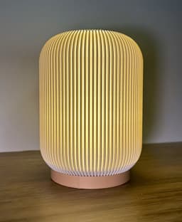 Ribbed Desk Lamp 3d model