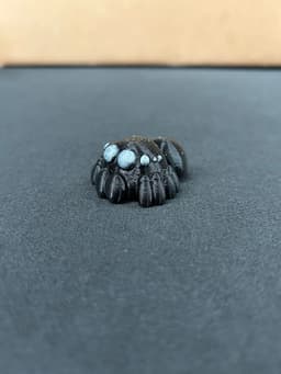 Spider Smooth 3d model