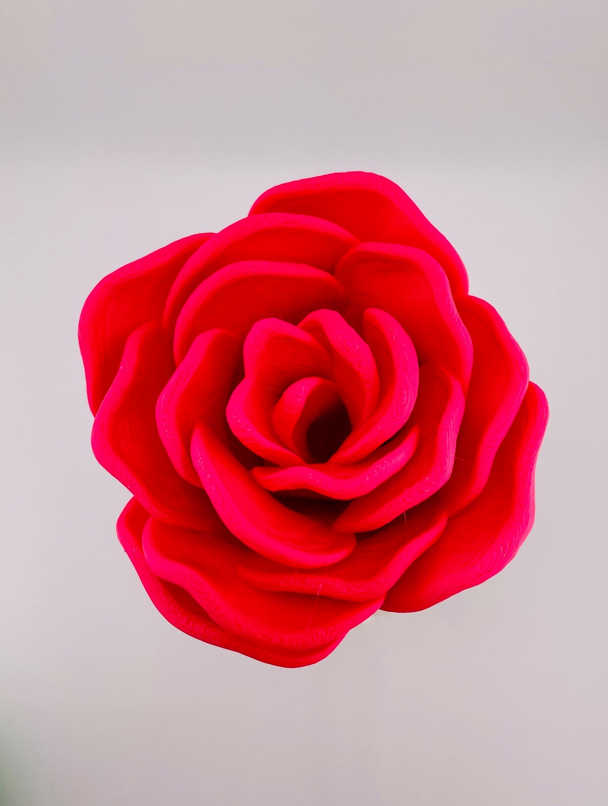 Rose Gnome 3d model