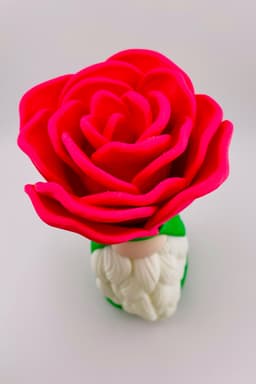 Rose Gnome 3d model