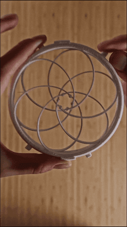 Compliant Iris Mechanism 3d model