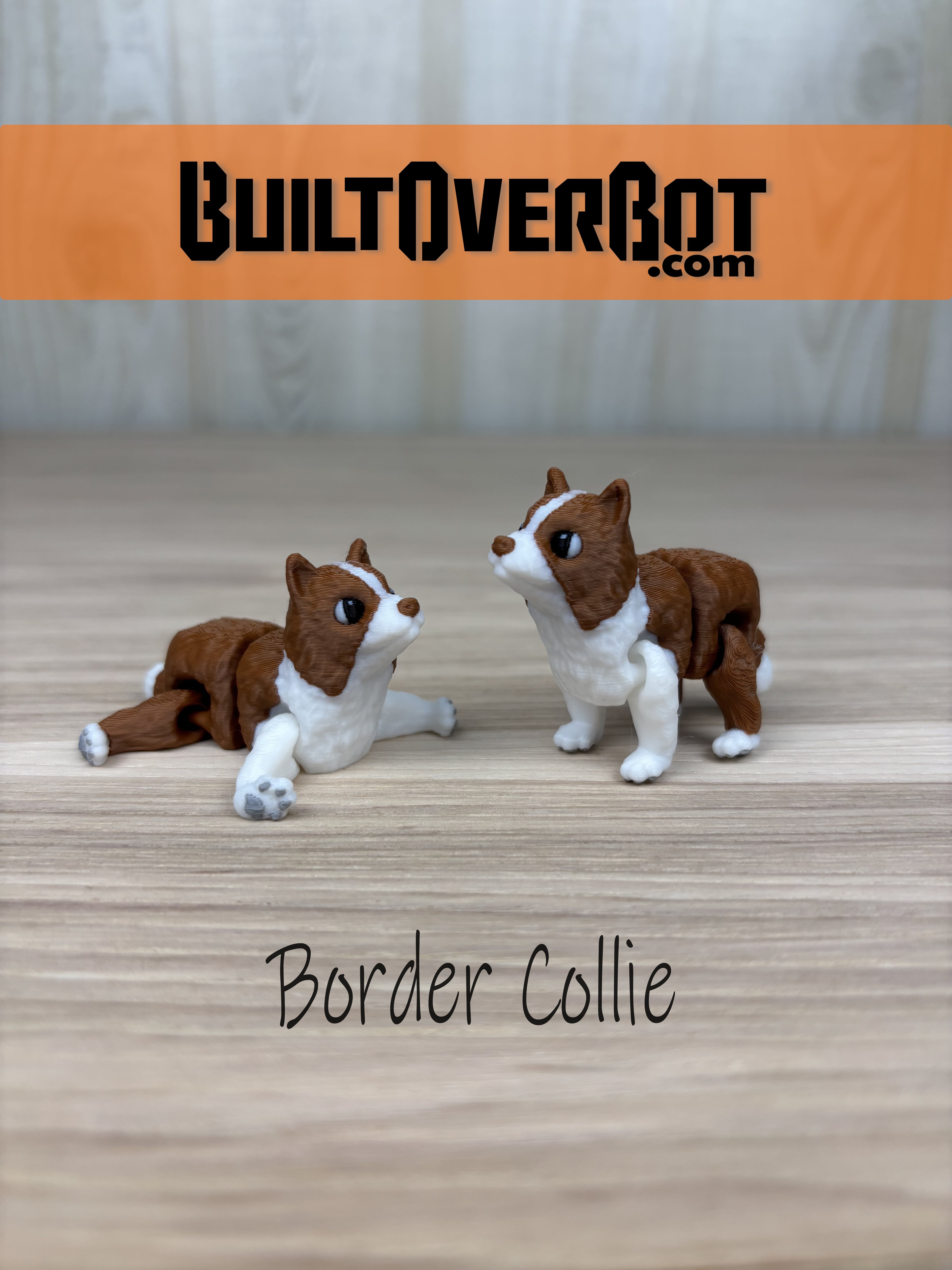 Border Collie - Smokey 3d model
