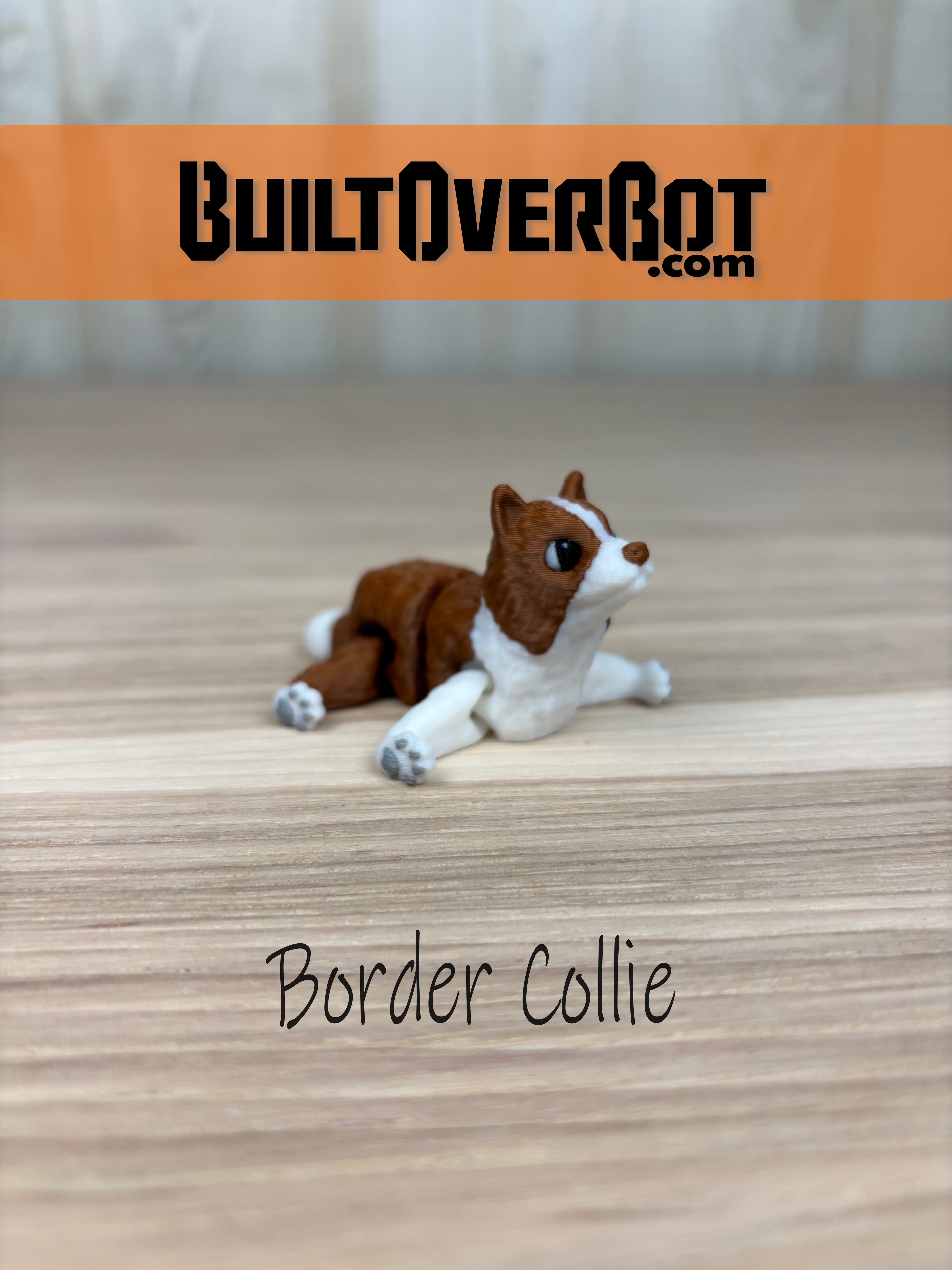 Border Collie - Smokey 3d model