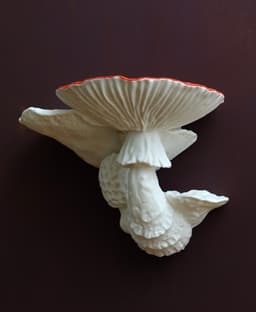 Mushroom dragon and shelf 3d model