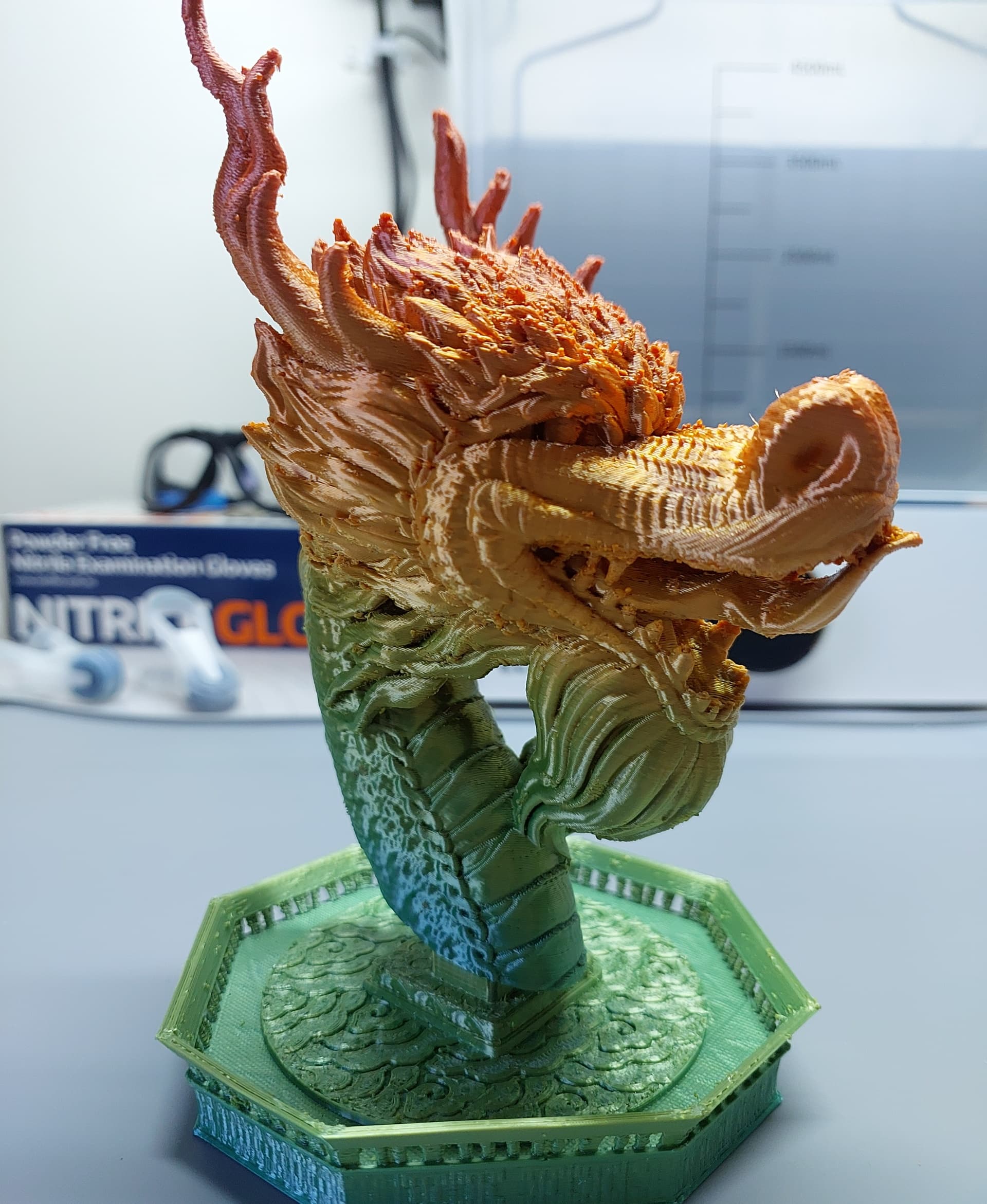 2024 Year of The Dragon Bust 3d model