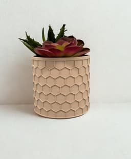 Honeycomb Planter with Drainage 3d model