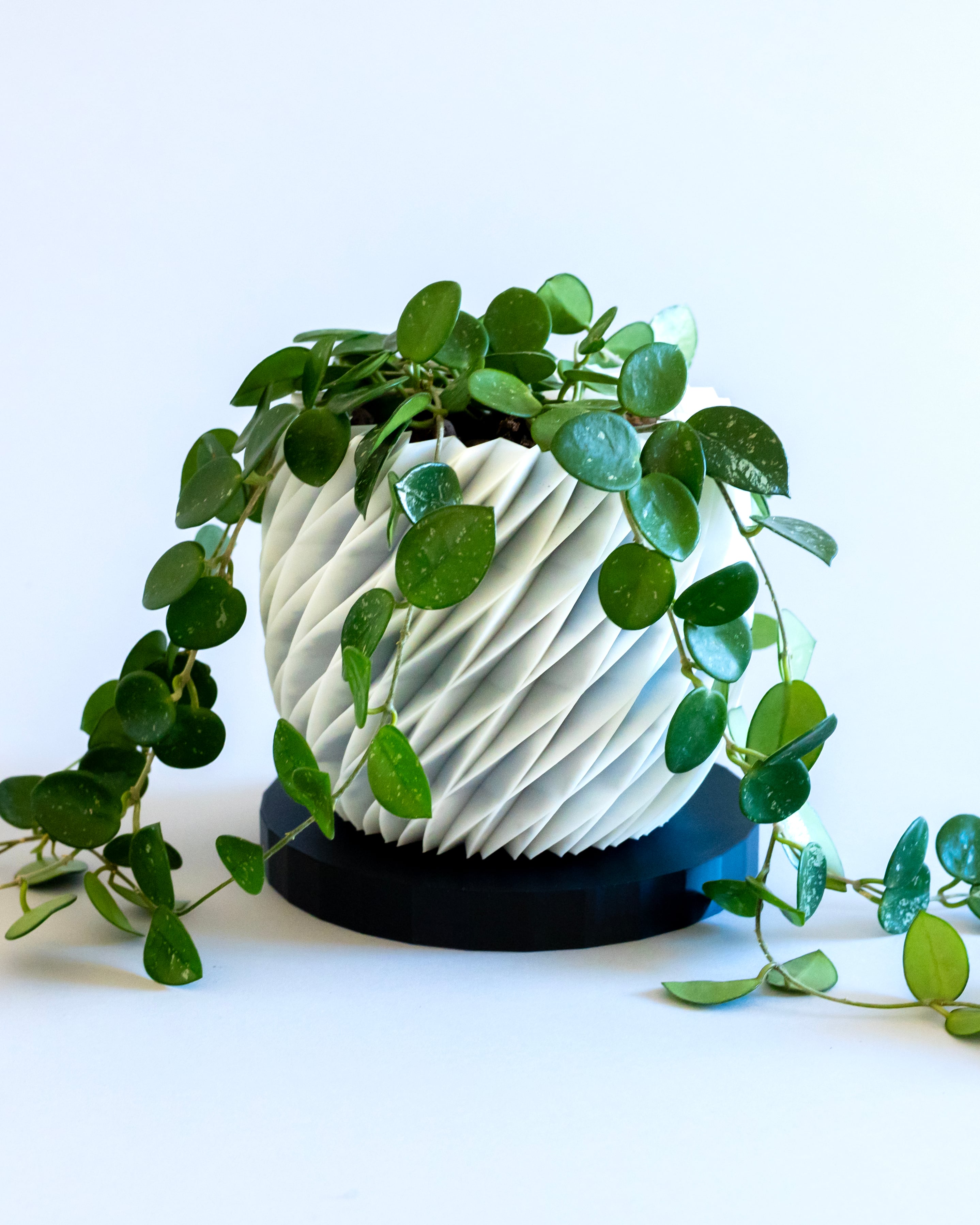 DIAMANTE Planter 01 // Plant Pot or Container 3d model