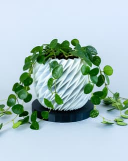 DIAMANTE Planter 01 // Plant Pot or Container 3d model