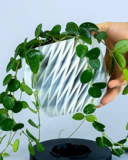 DIAMANTE Planter 01 // Plant Pot or Container 3d model