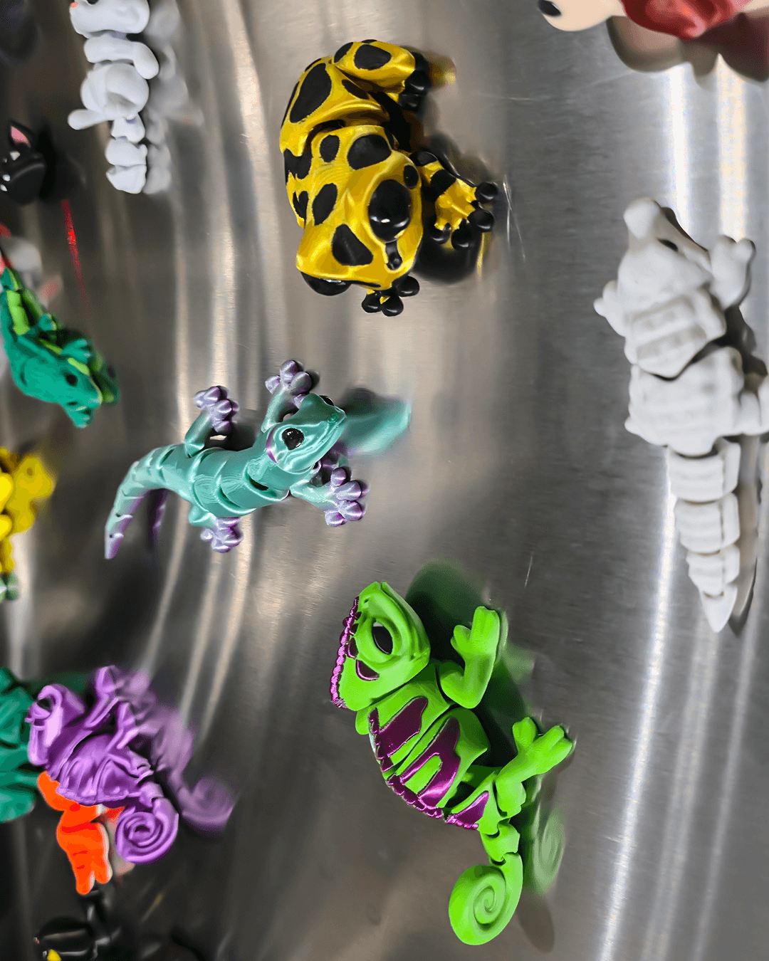 3DL Dart Frog 3d model
