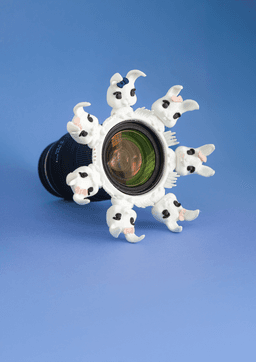 Bunny - Cute Lens Accessory 3d model