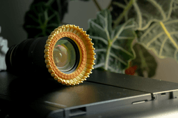 Flower Lens Accessory in Multiple sizes 3d model