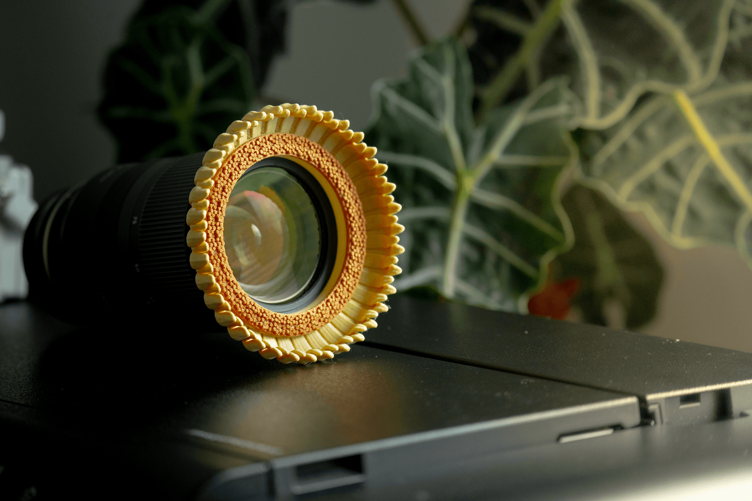 Flower Lens Accessory in Multiple sizes 3d model