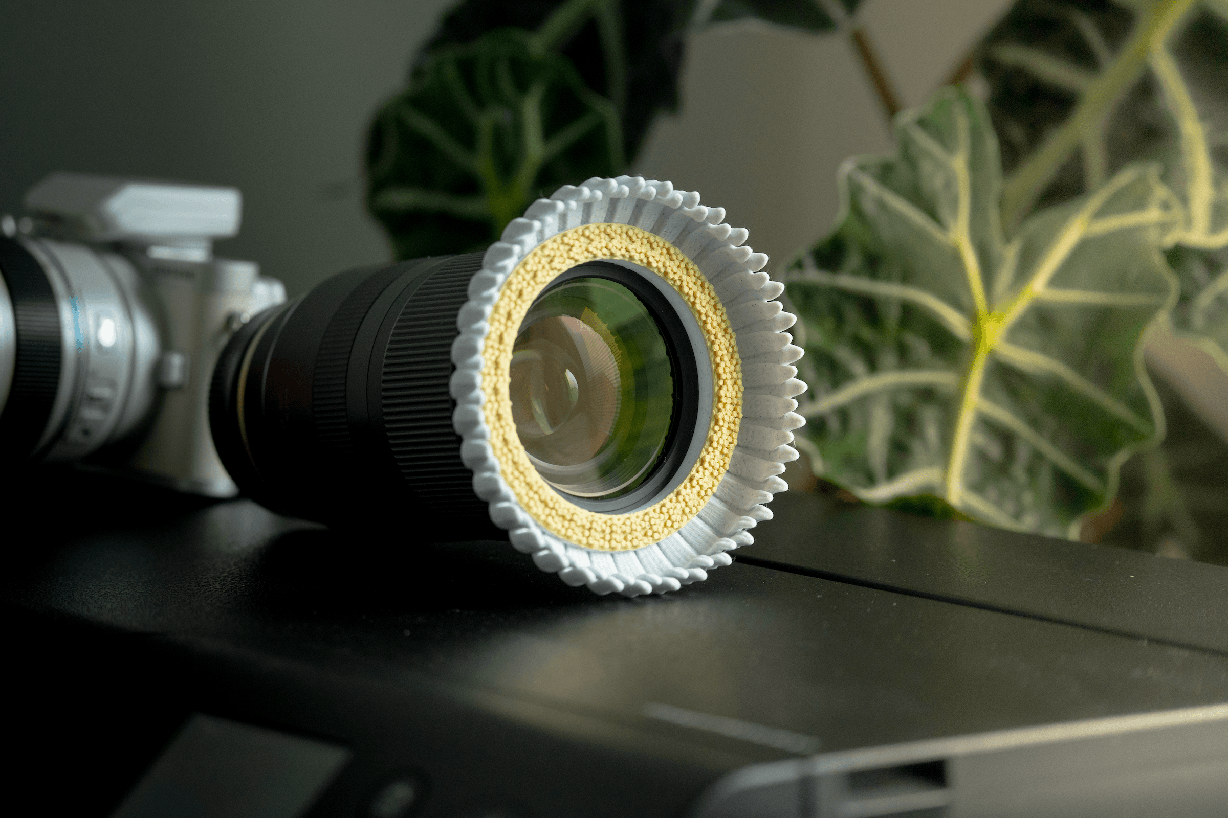 Flower Lens Accessory in Multiple sizes 3d model