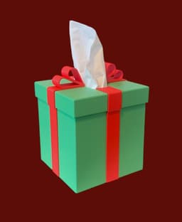 Christmas Present Tissue Box Cover 3d model