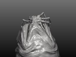 facehugger egg , alien 3d model