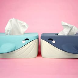 Bubbles the Whale Tissue Box Cover 3d model