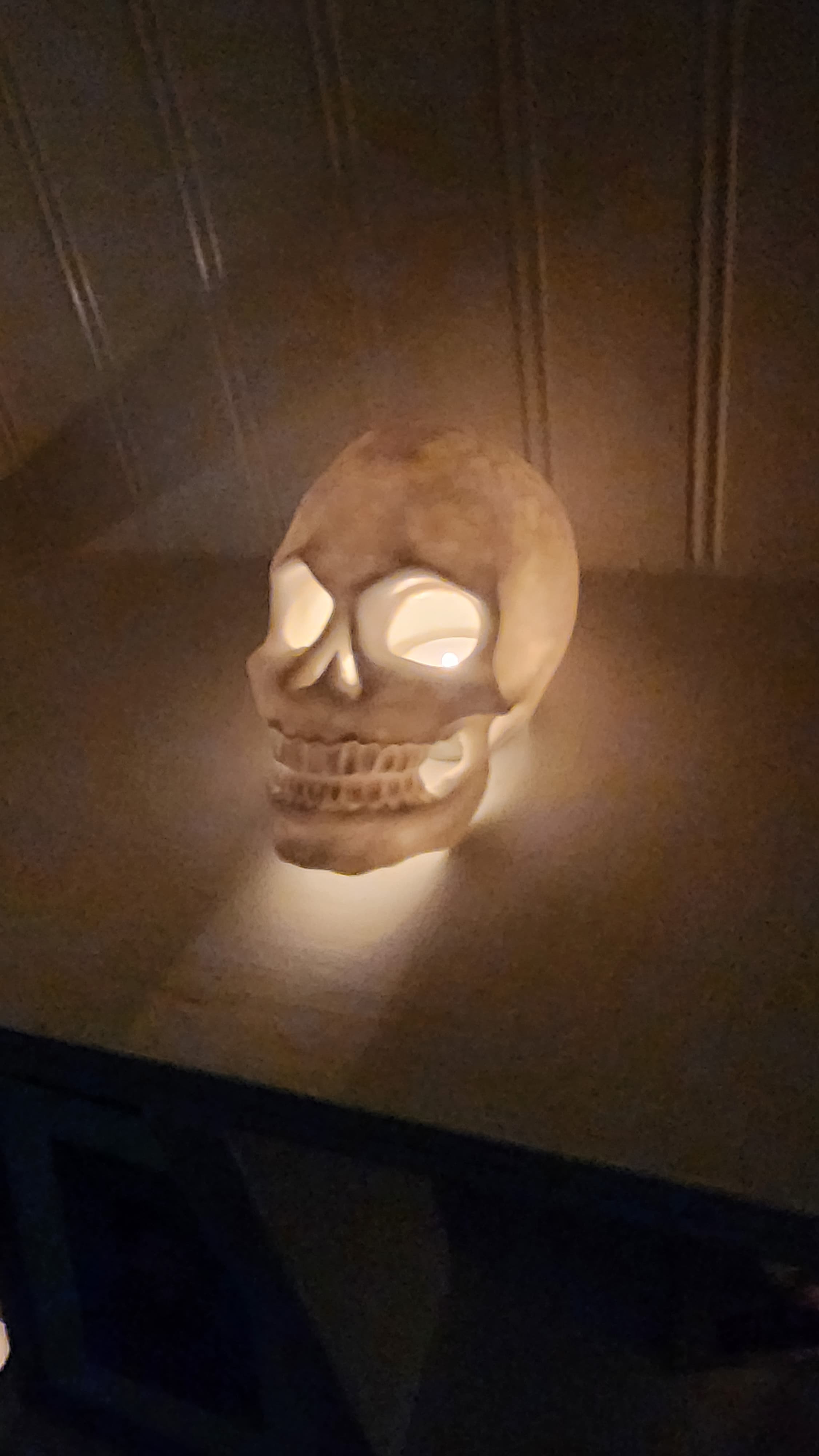 skull.stl 3d model