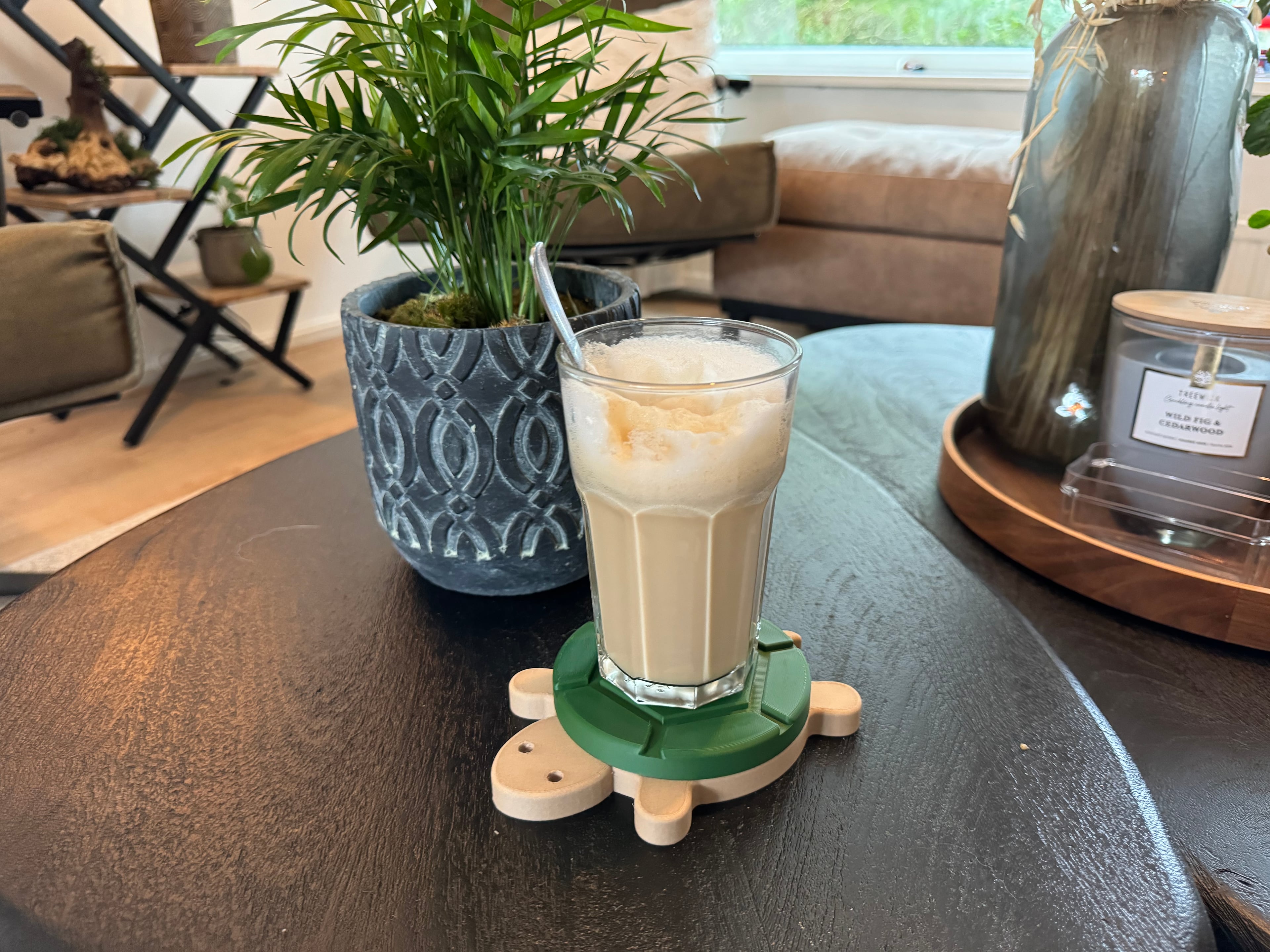 Turtle Coaster 3d model