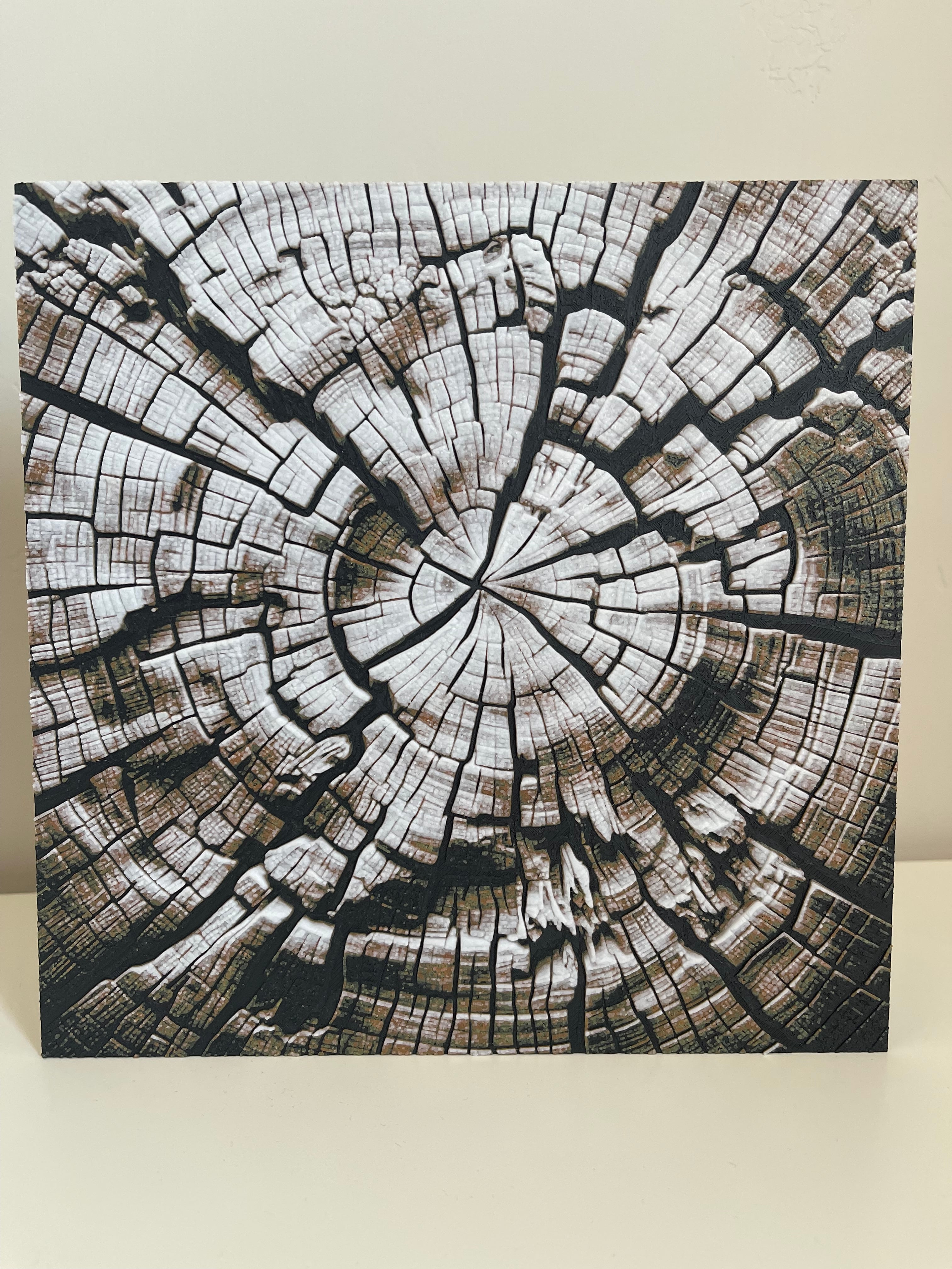 Fractured Wood 3d model