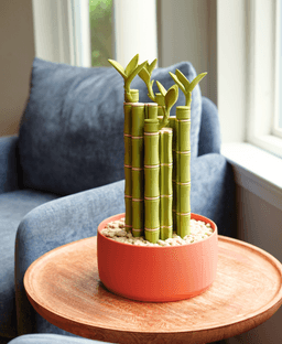 Lucky Bamboo Mahjong 3d model