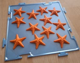 Massage Puzzle Mat - Starfish 240x240 mm 3d model