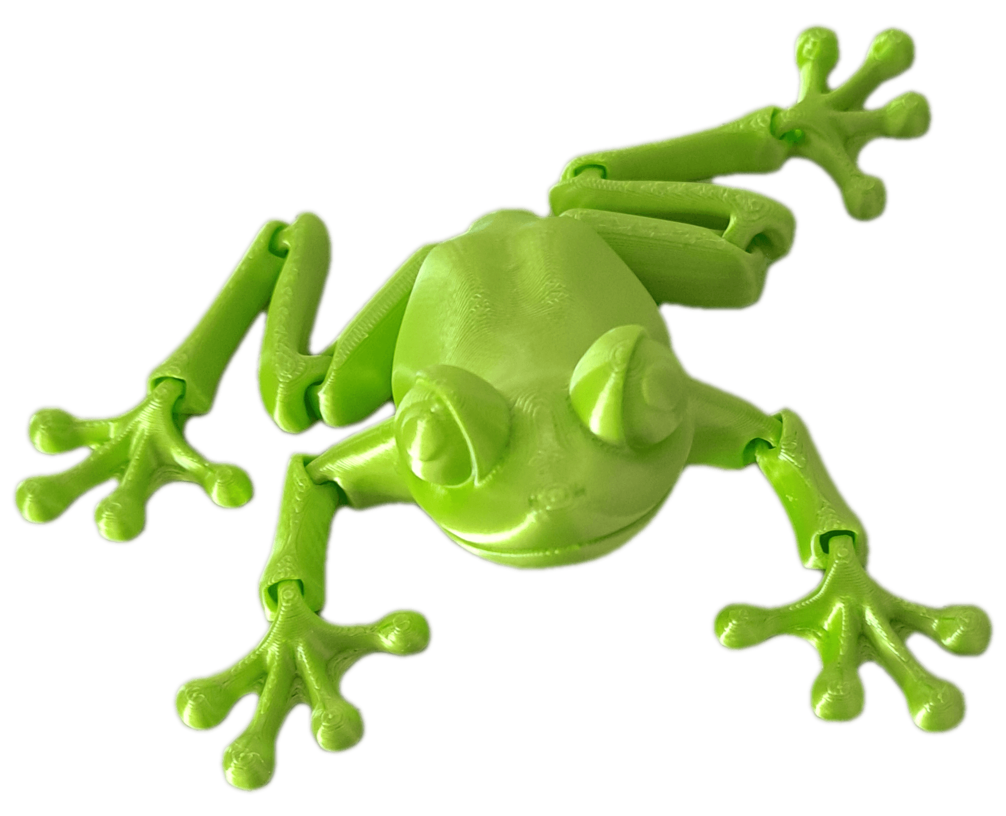 Best frog model out there! Thanks