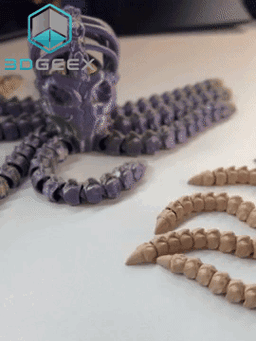 Octopus Skeleton 3d model