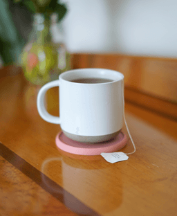Ona Coasters 3d model