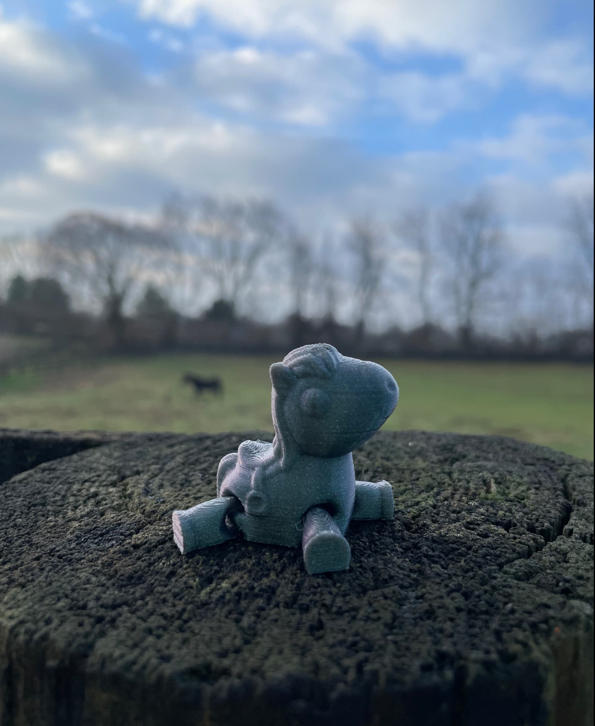 Little Horse with Saddle