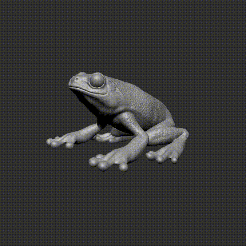 Frog 3d model