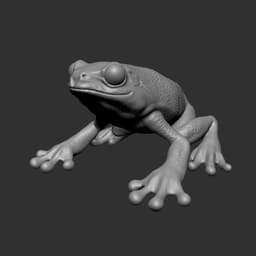 Frog 3d model