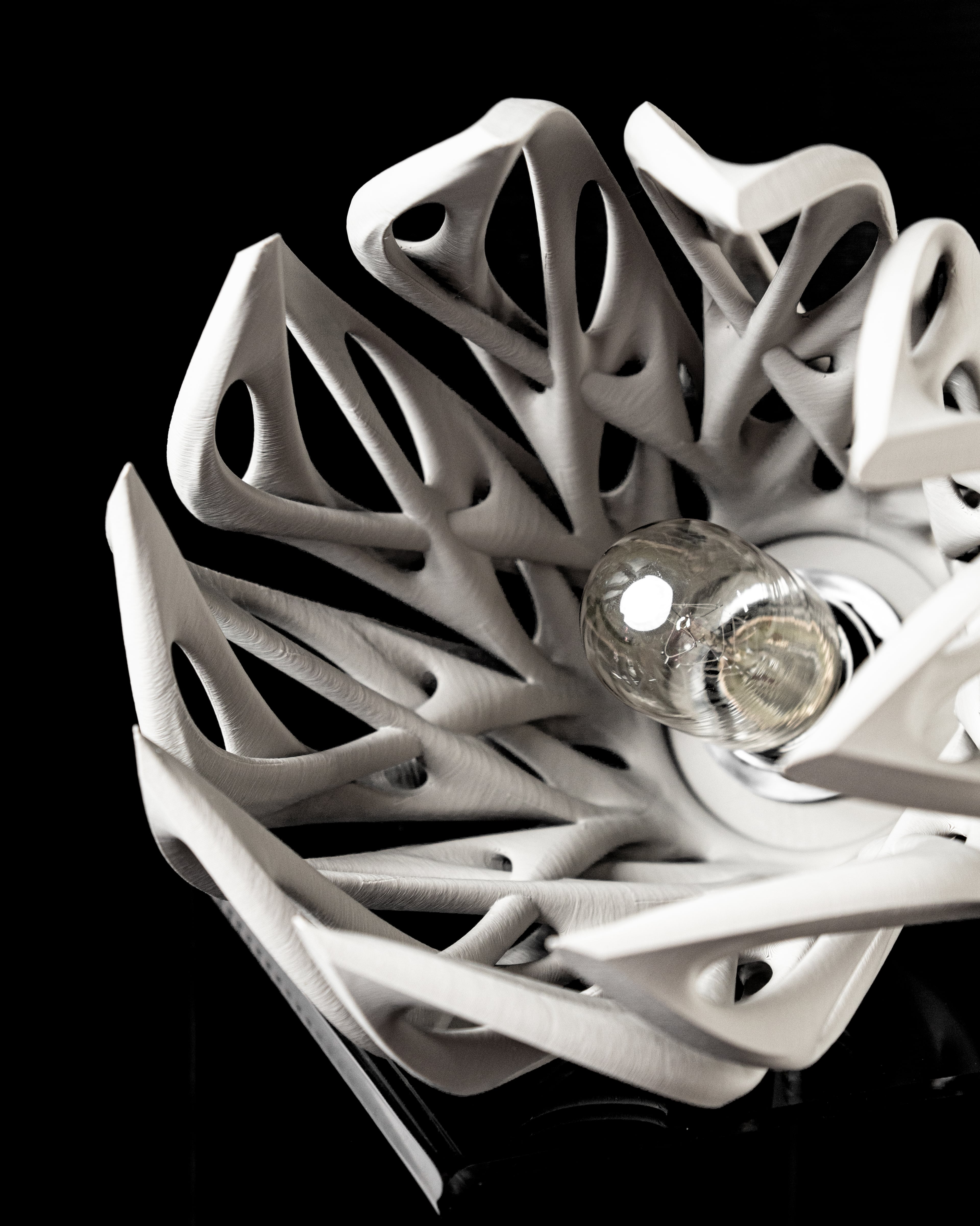 Mantis Pendant Lamp by MODERN MACHINE 3d model